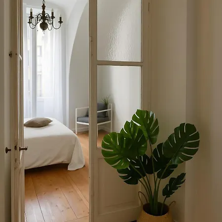 Daire Il Salotto Di In Piazza Vittorio Veneto By House Collection Torino